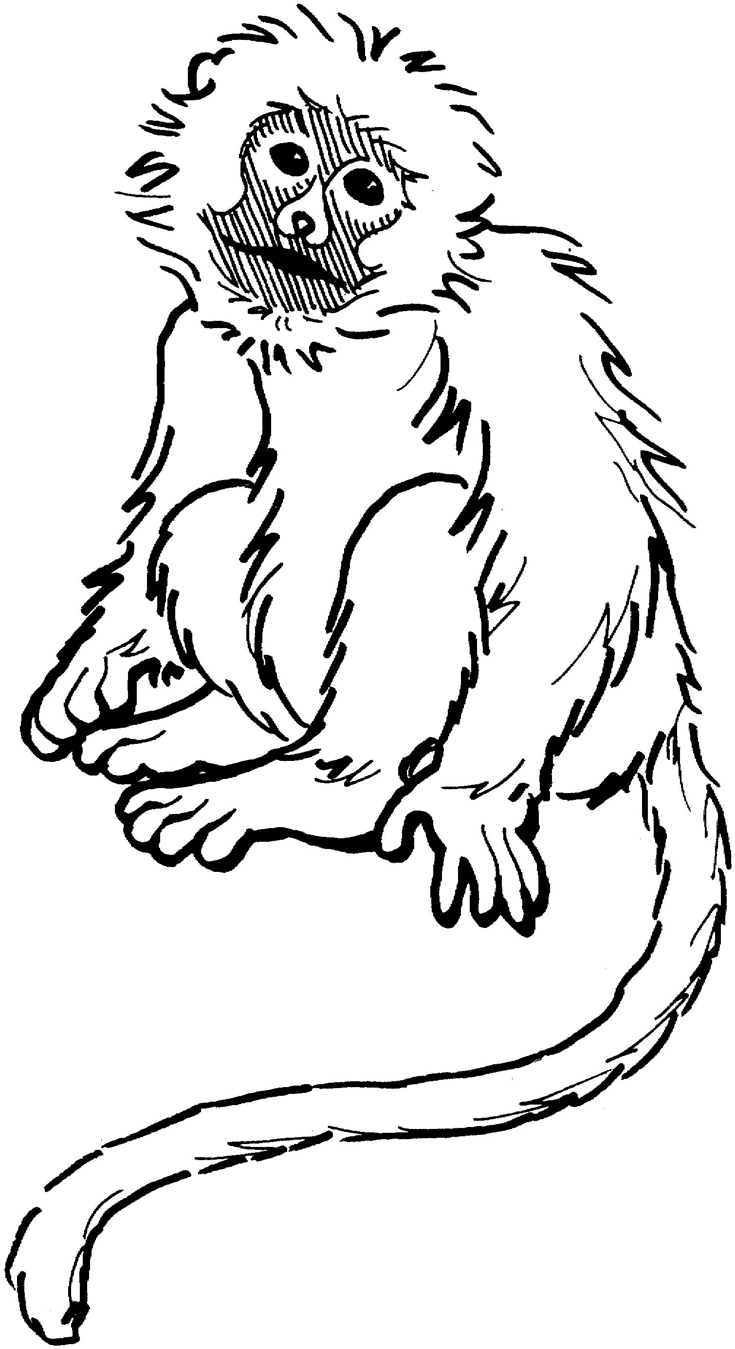 Monkey Coloring Pages